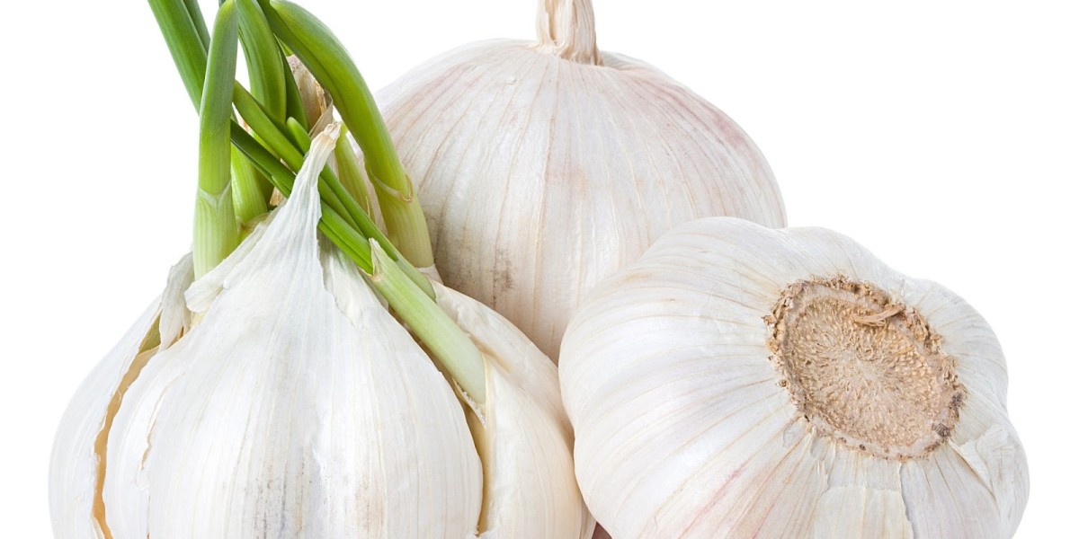 Garlic Market Insights Exploring Consumer Preferences, Health Benefits And Organic Garlic Demand Growth