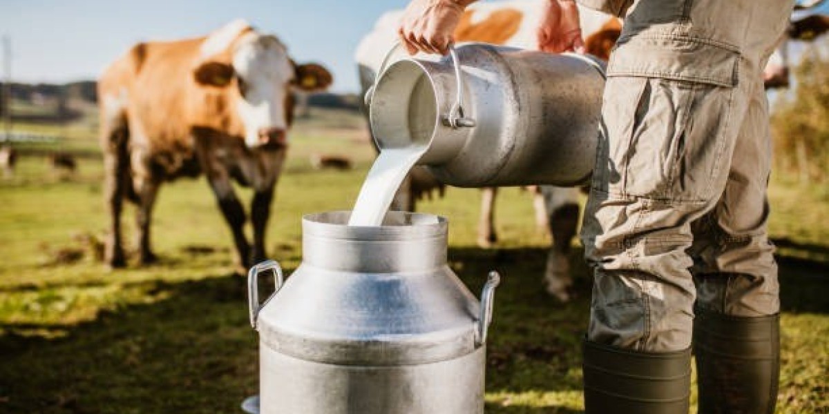 Dairy Industry In Gujarat Forecast, Growth, Trends, and Research Report 2025-2033