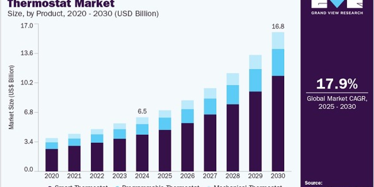 Thermostat Market 2030: Smart vs. Programmable—What's Best?