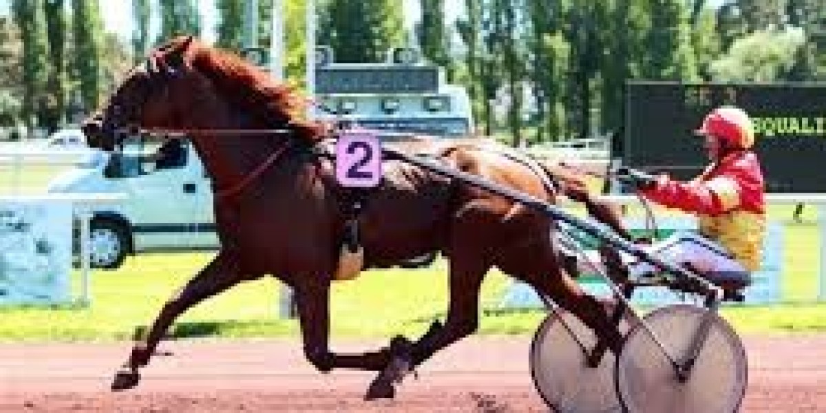 Genycourse – Your Ultimate Destination for Horse Racing Predictions, Results, and Betting Insights