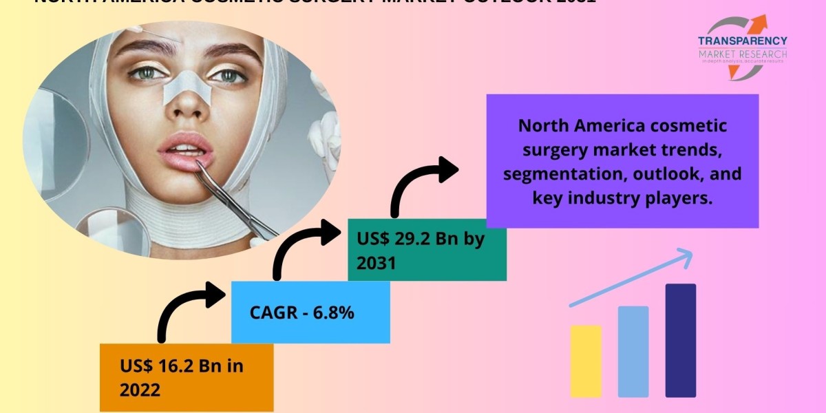 Trends Shaping the North America Cosmetic Surgery Market