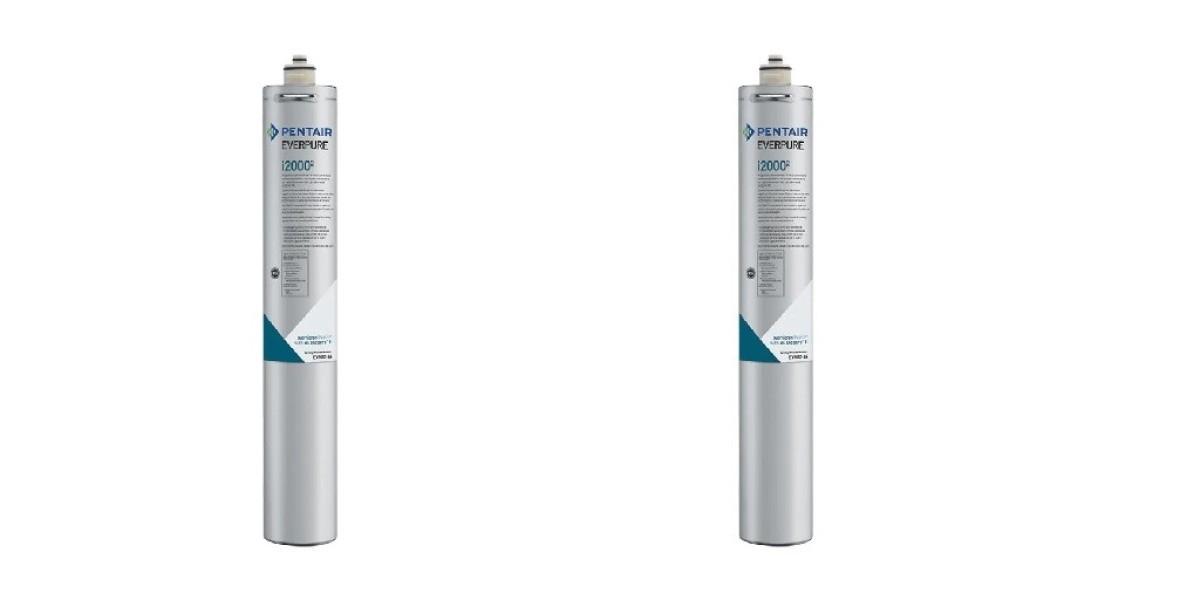 Why the Everpure i2000 is the Top Choice for Commercial Ice Machine Filtration