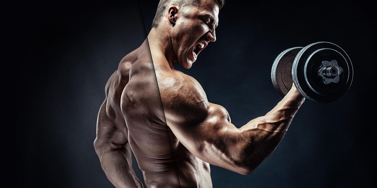 Best Testosterone Booster (We Tried It) Here's Our Honest Review After 108 Days!
