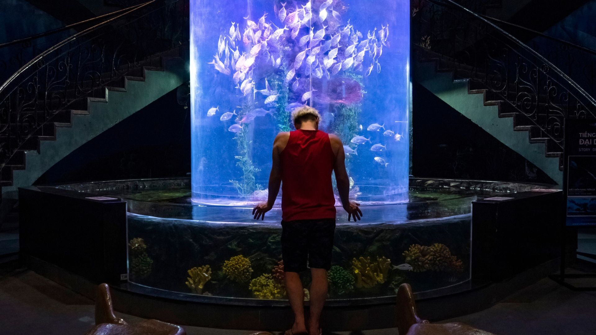 Acrylic Aquarium Dubai