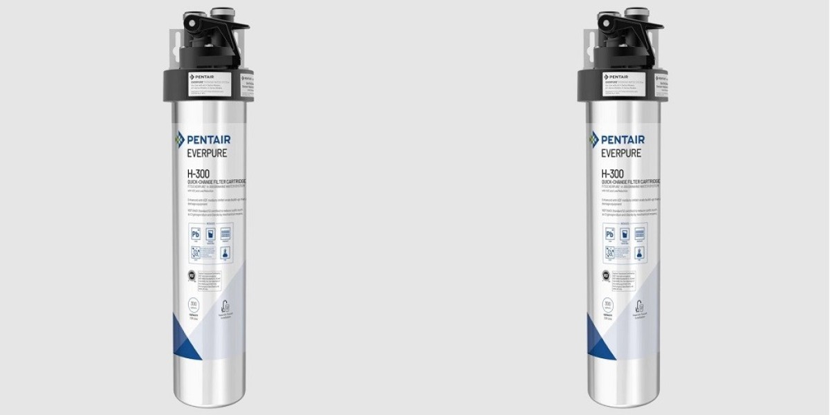 Everpure H300 Filter for Families: Why It’s a Smart Choice for Clean Water at Home