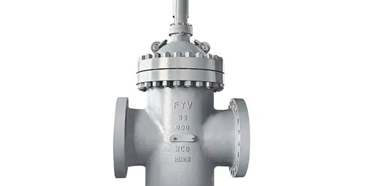 The Double-Sealing Advantage: Ensuring Zero Leakage with Fangyuan Expanding Gate Valves