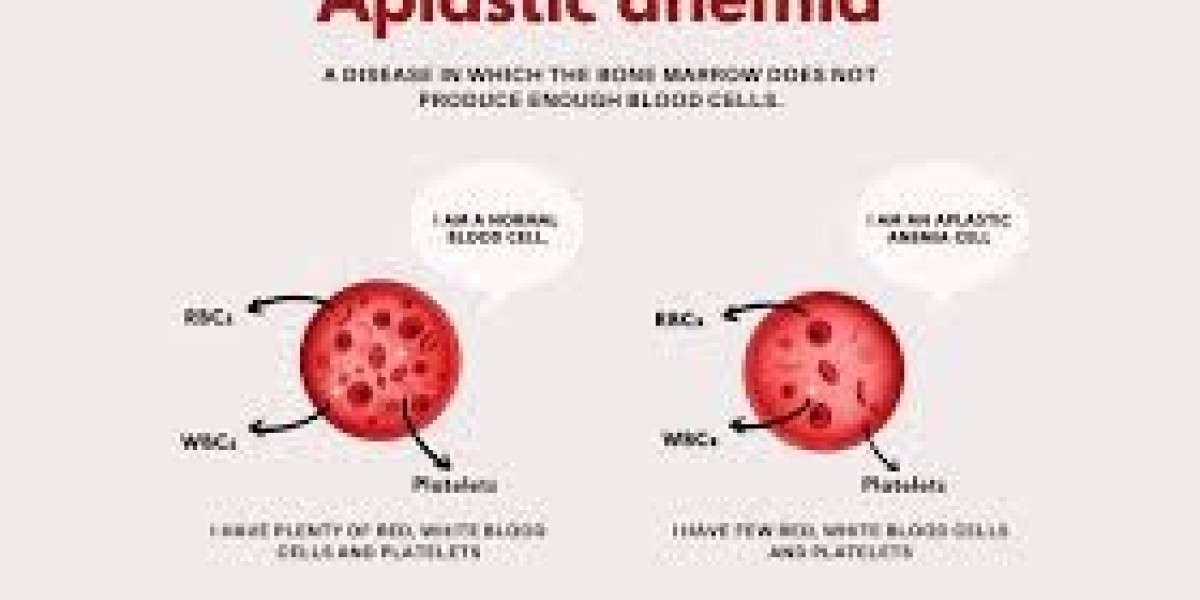 Aplastic Anemia Market Analysis, Growth, Trend and Forecast 2034