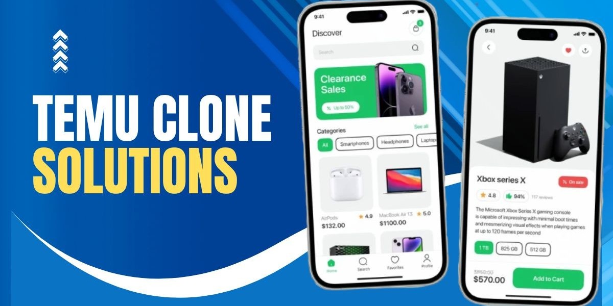 Temu Clone Business Models: Monetization, Logistics & Market Positioning