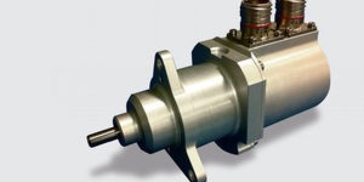 Automotive Torque Actuator Motor Market 2030F Global Outlook