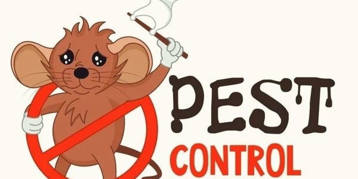 Effective Termite Control and Wildlife Removal for a Safer Home
