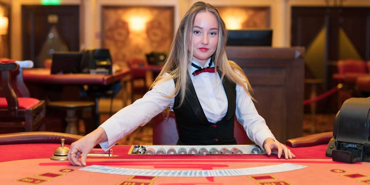 Le meilleur casino live en ligne — Quand le hasard devient un art