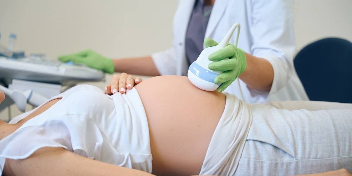 General Gynecology Fees for Fertility Consultations