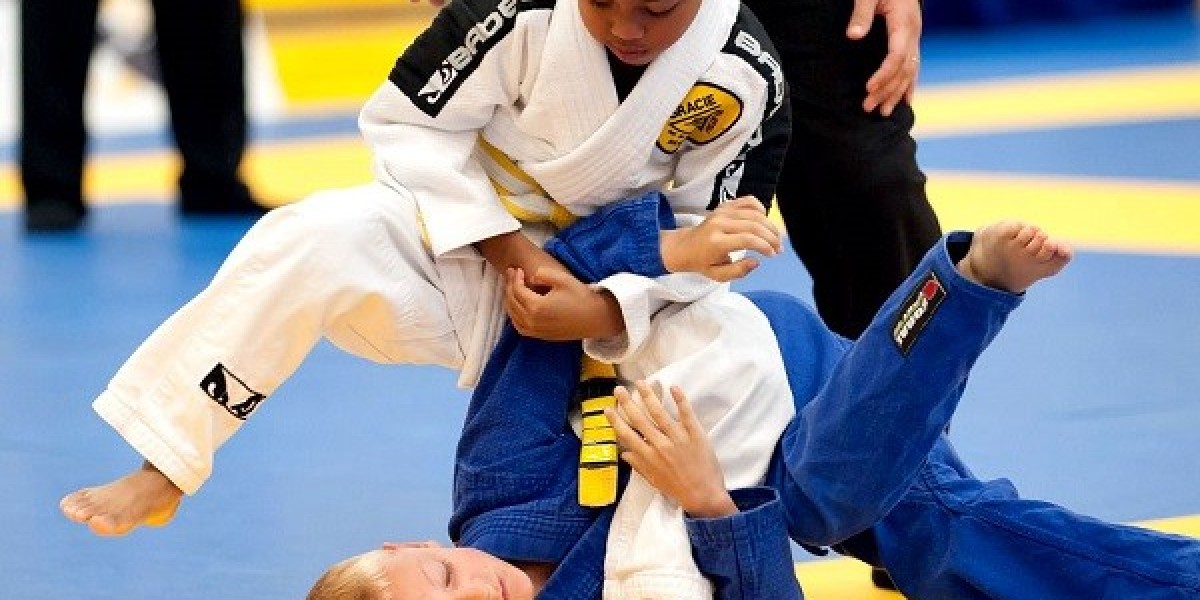 BJJ Classes in Singapore: Why Lion Heart MMA Is the Top Choice for BJJ Kids and Beginners