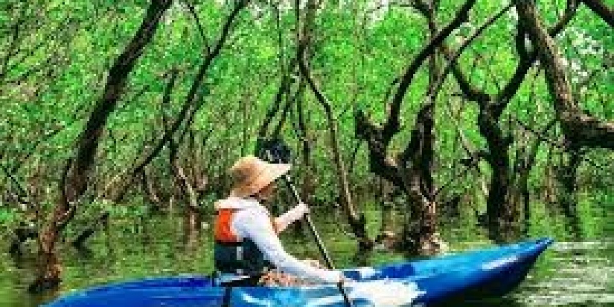 Discover the Best Kayaking and Adventure Water Sports in Goa