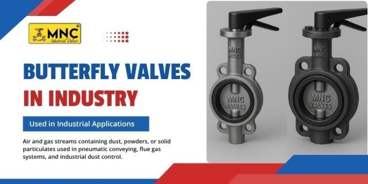 How to Choose the Right Butterfly Valve for Air and Gas Streams with Particulates? | MNC Valves