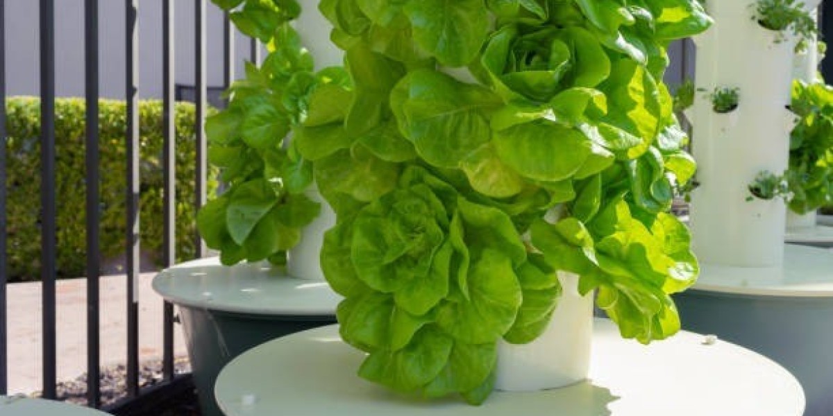 Revolutionizing Home Produce: The Power of Hydroponic Towers