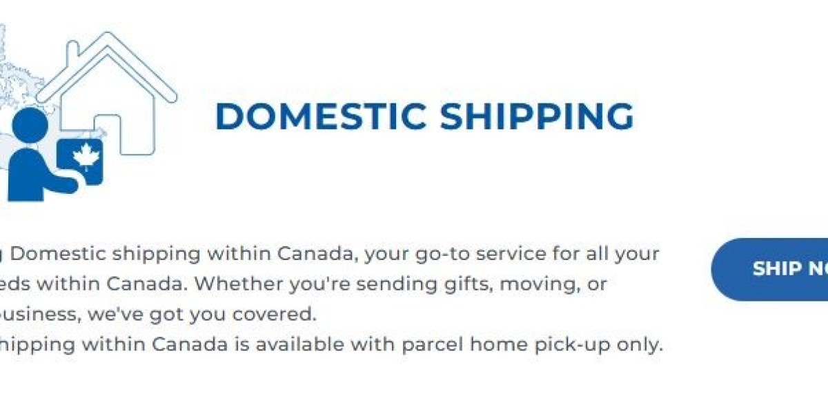Postal Strike Proof! Why Meest Canada Is the Secret Weapon for Fast Shipping.