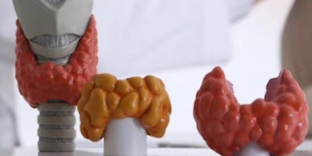 Comprehensive Hormone-Thyroid Tests in Gurgaon: Trusted Diagnostics with House of Pathology Experts