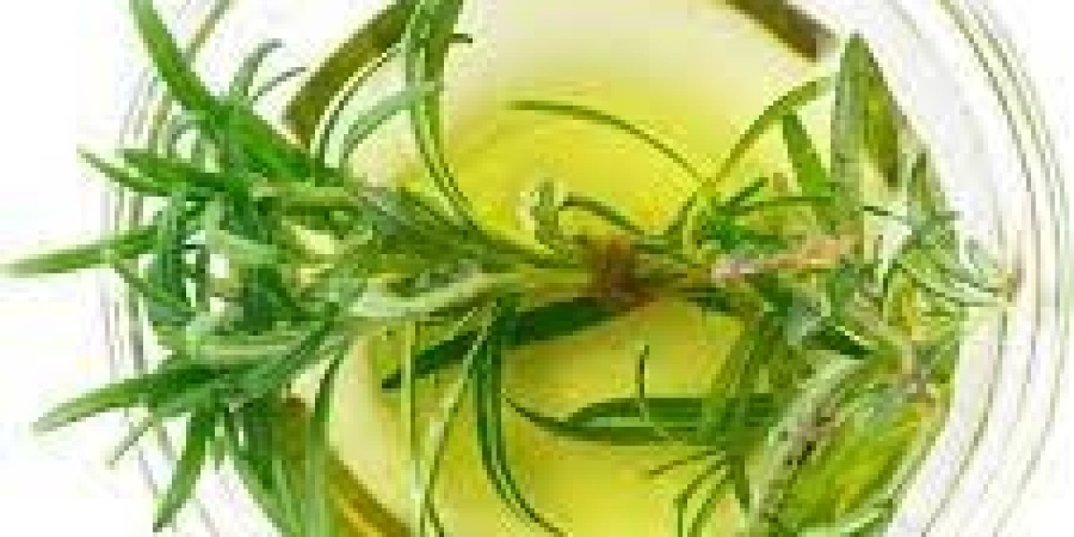 Rosemary Extract Market Demand Surging Through Rising Natural and Health-Focused Consumer Trends