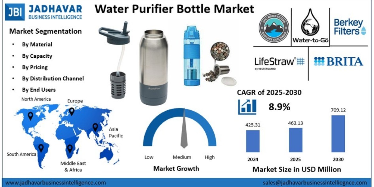 Water Purifier Bottle Market: Where Technology Meets Everyday Hydration