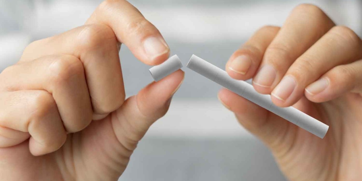 Roll-Your-Own Tobacco Products Market Insights: Understanding Consumer Preferences and Growth Drivers
