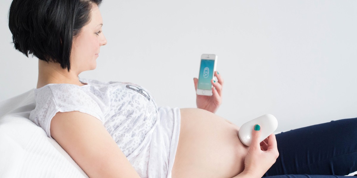 Wearable Pregnancy Devices Market Dynamics: Global Trends Driving Adoption of Smart Prenatal Monitoring Devices