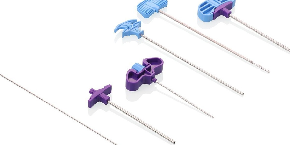 Vertebroplasty and Kyphoplasty Needles Market Size, Share and Trends 2025-2033