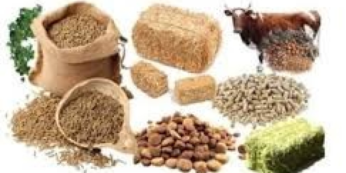 Animal Probiotics Market demand insights and future trends across Asia, Europe, and Americas