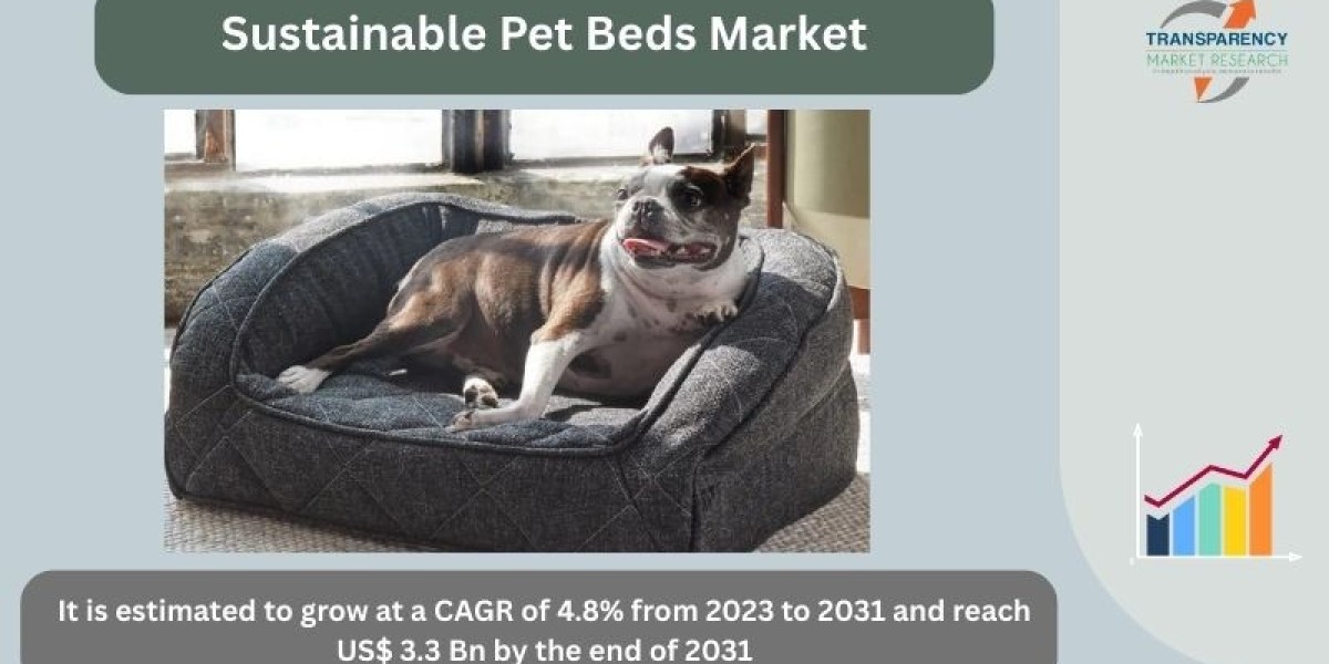 Eco-Friendly Innovations Driving the Sustainable Pet Beds Market