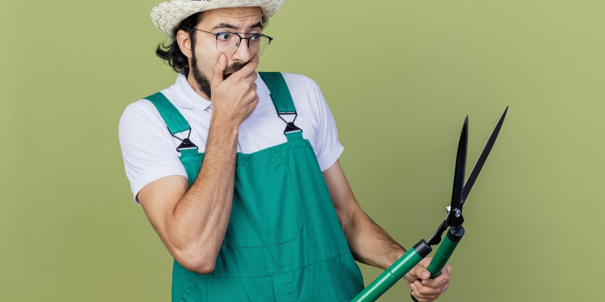 Mistakes That Many Homeowners Make While Hiring Professional Lawn Care Partners