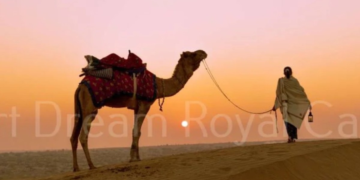 Hidden Trails, Golden Horizons, and the Untold Stories of Rajasthan’s Majestic Thar