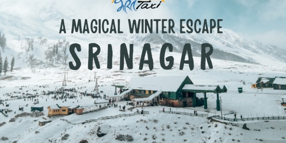 Srinagar in Winter: Top Attractions to Explore