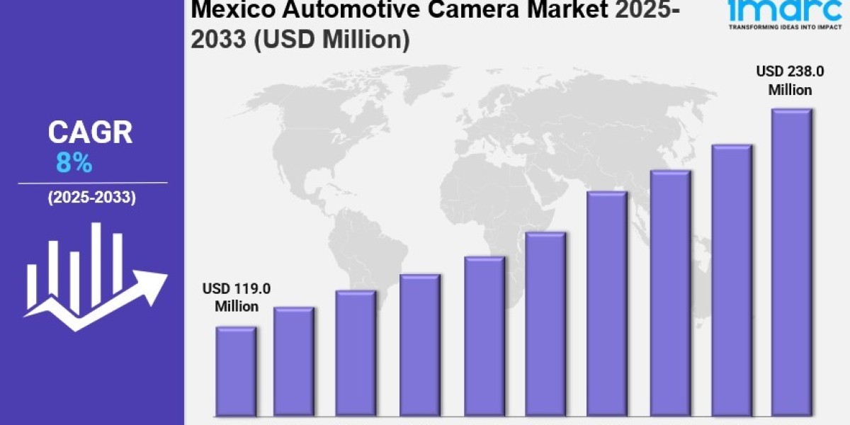 Mexico Automotive Camera Market  Market Share, Size, In-Depth Analysis and Forecast 2025-2033