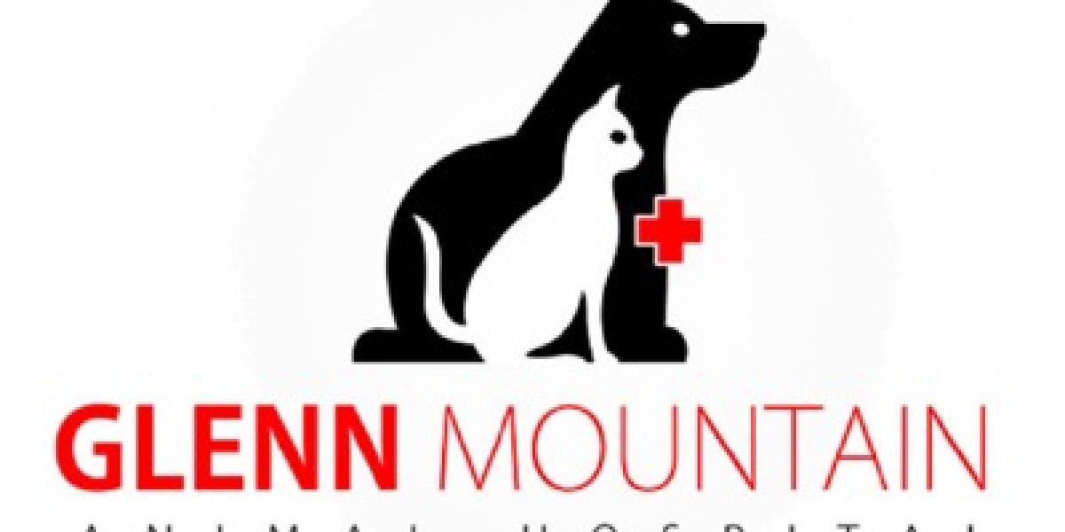 Nutrition and Disease Management for Long-Term Pet Health