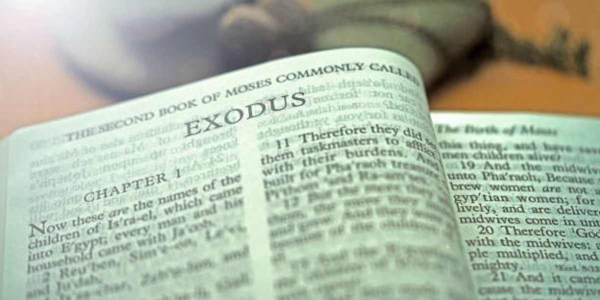 How Is Divine Law Central in the Book of Exodus Narrative?