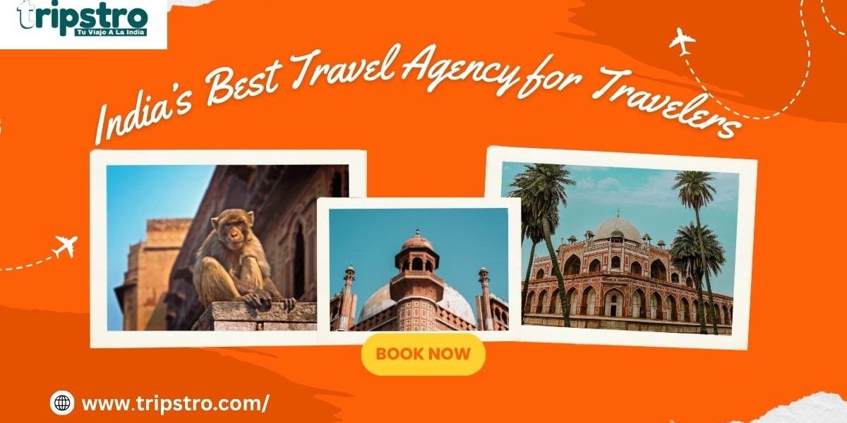 India’s Best Travel Agency for Travelers – Tripstro