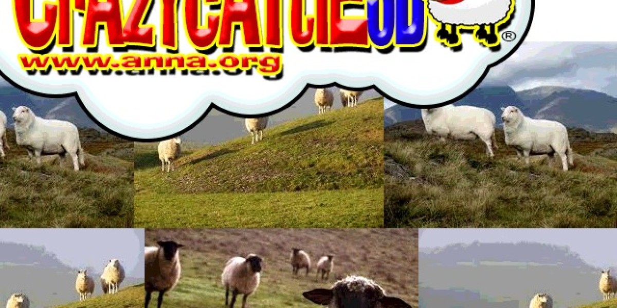 When Chaos Feels Therapeutic: My Wild Ride with Crazy Cattle 3D