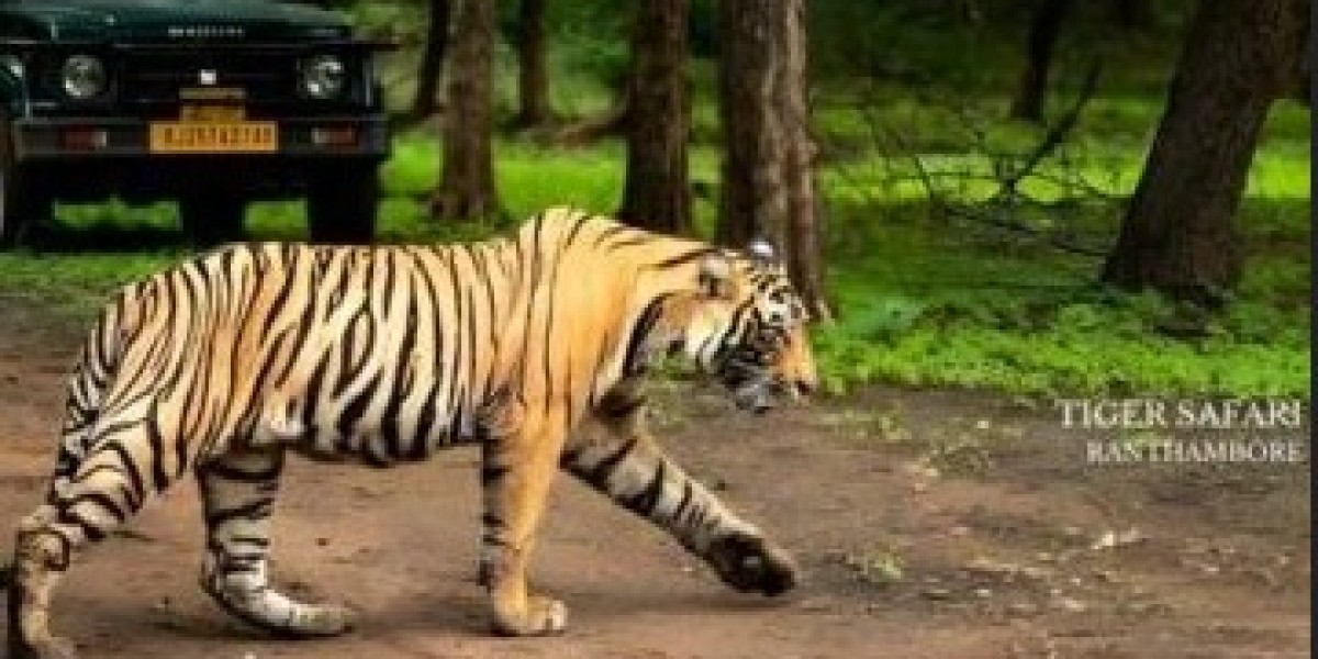 Discover the Royal Heritage with the Best Delhi Agra Jaipur Tour Package