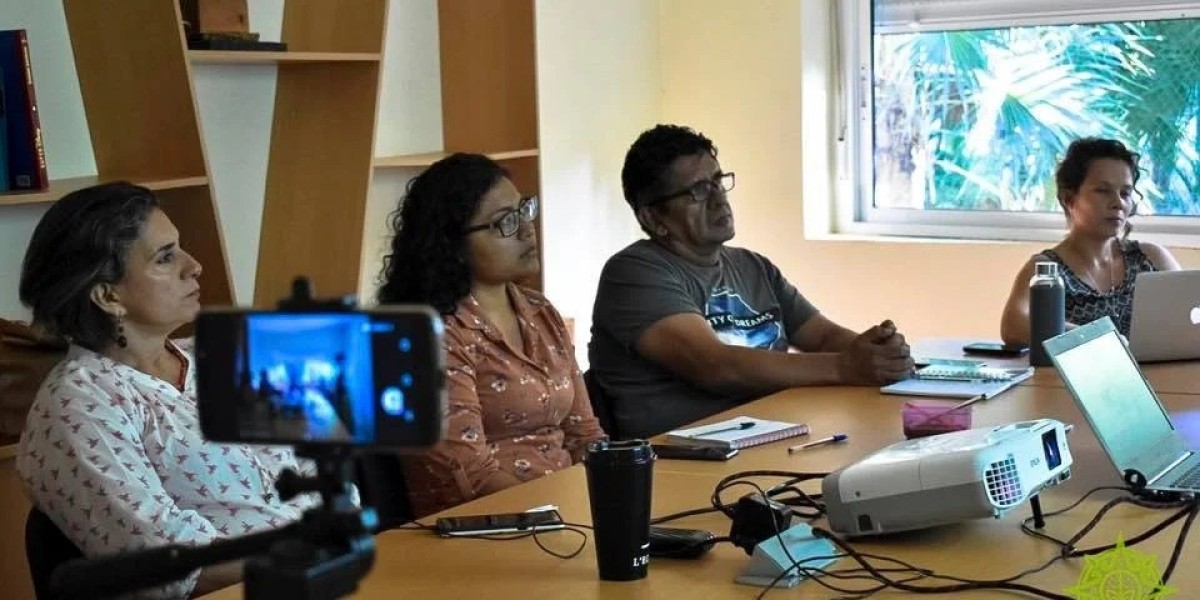 Futuro sostenible y excelencia en Playa del Carmen universidades