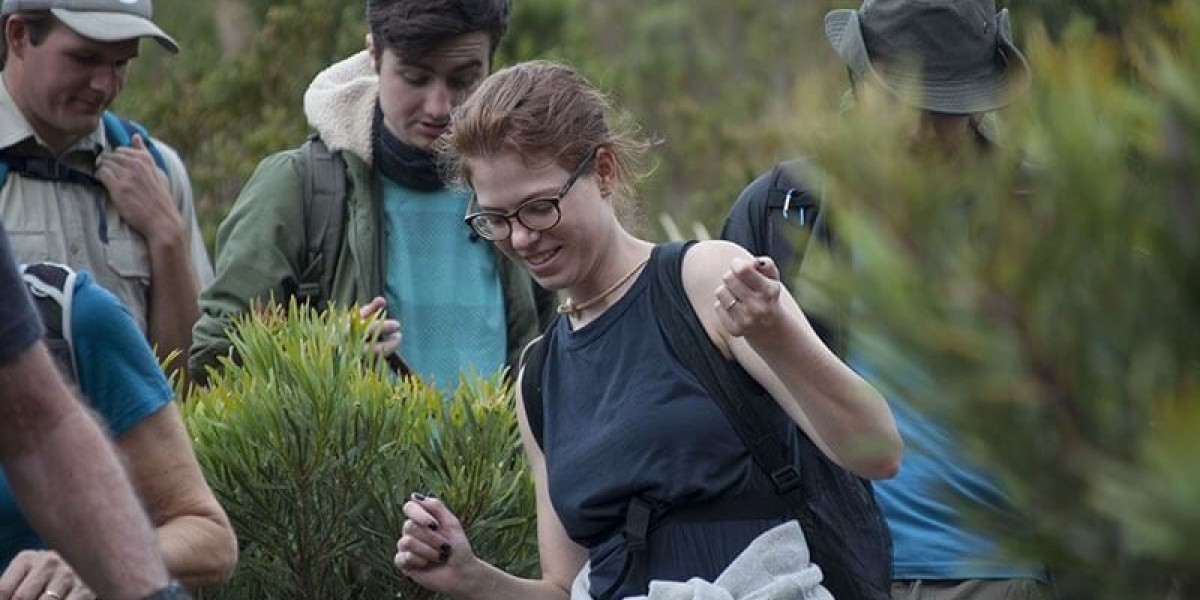 Discover the Thrill of Slackpacking on the Stunning Blue Mountain Trail