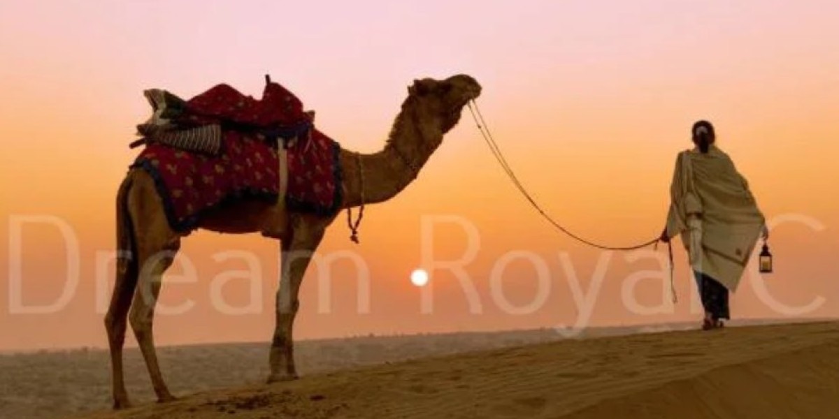 Golden Nights Await: Discover Peace and Luxury in Deluxe Tent in Jaisalmer