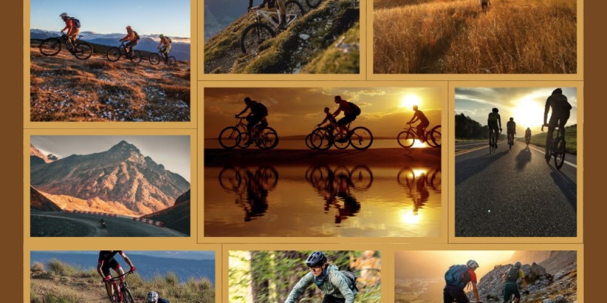 Wheels of Courage: Stories from Cyclists Who Defied the Desert Heat
