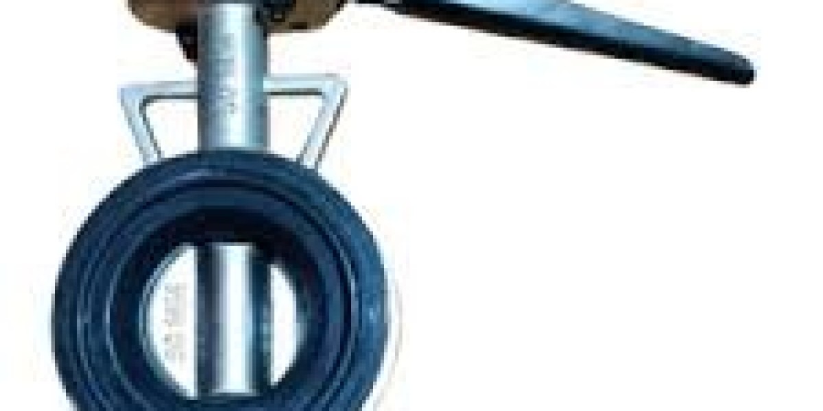 Stainless Steel Butterfly Valves.