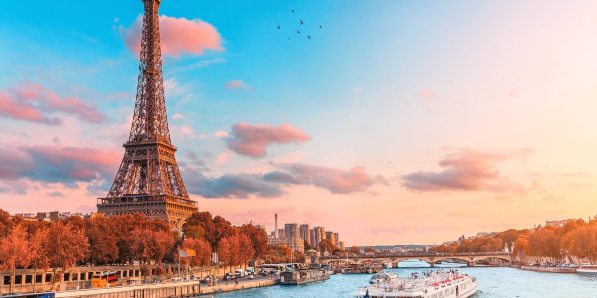 France Joins Global Wave of Recognition for Palestine