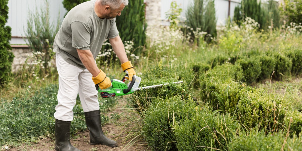 Do You Actually Know What Full Lawn Maintenance Services Do to Lawns