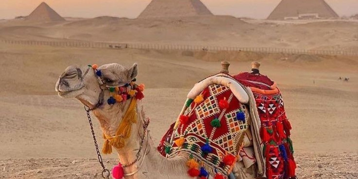 Adventure Activities to Try in Jaisalmer Beyond the Desert Safari