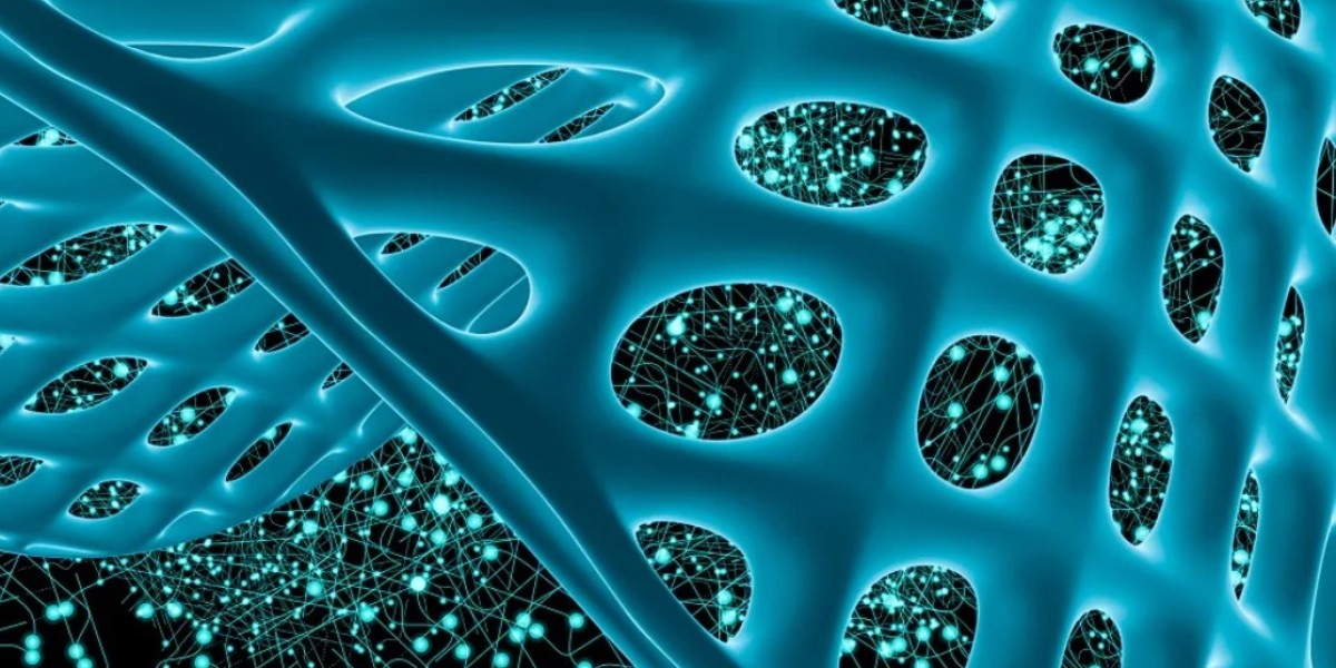 South Korea Biomaterials Market Size, Share, In-Depth Analysis, Opportunity and Forecast 2025-2033