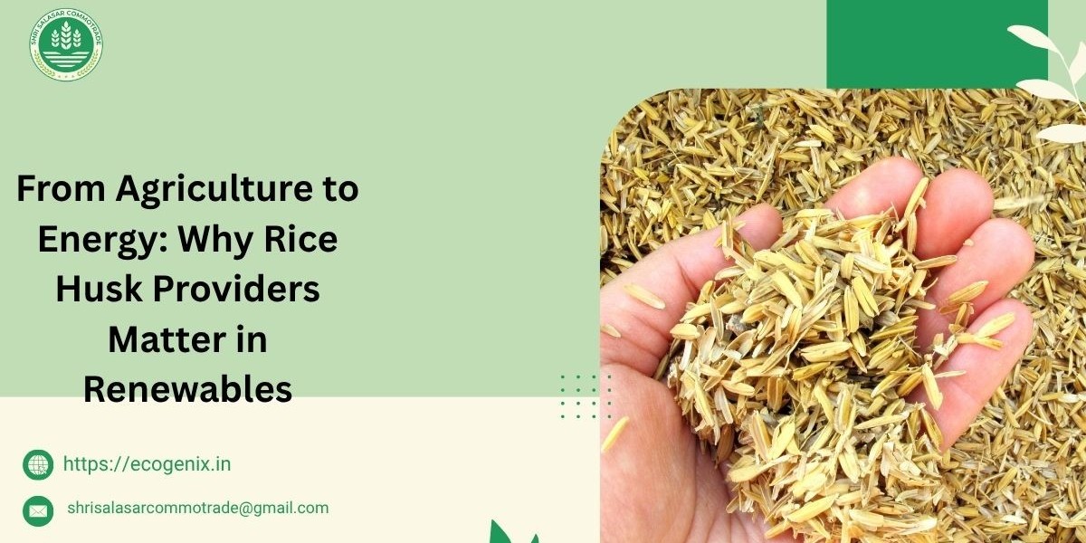 From Agriculture to Energy: Why Rice Husk Providers Matter in Renewables