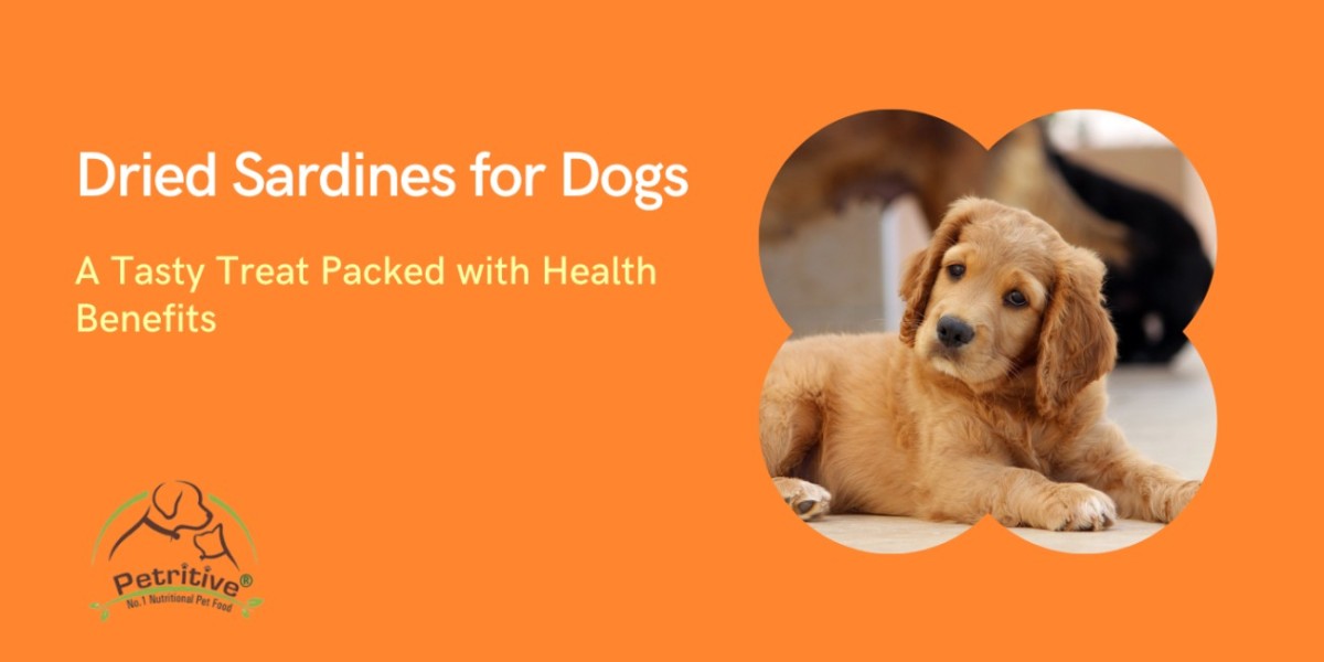 Why Dried Sardines for Dogs Are the Ultimate Natural Treat