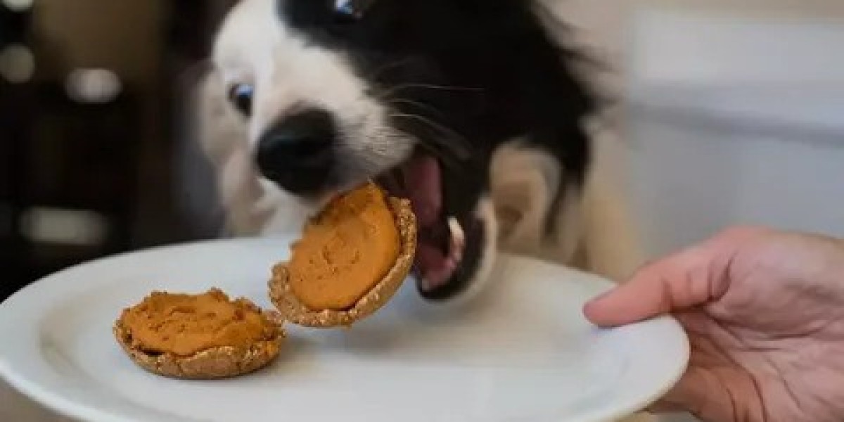 Top 20 Companies in Pet Snacks and Treats Market: Investment Opportunities and Growth Drivers